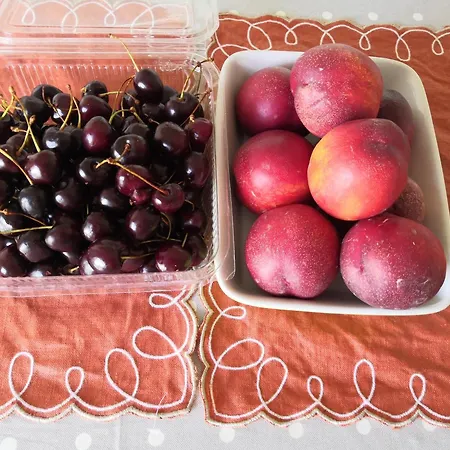 Appartamento Casa Parco Del Castello